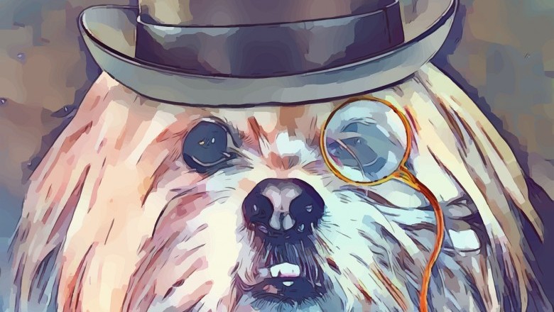 Shih Tzu - History And Legends