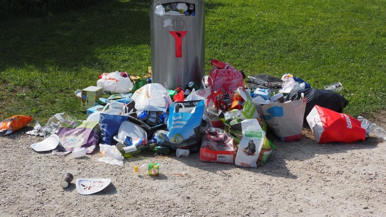 Littering & it Effects on the Environment