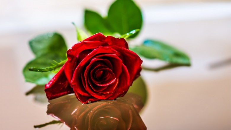 After First Date Dating Advice For Women