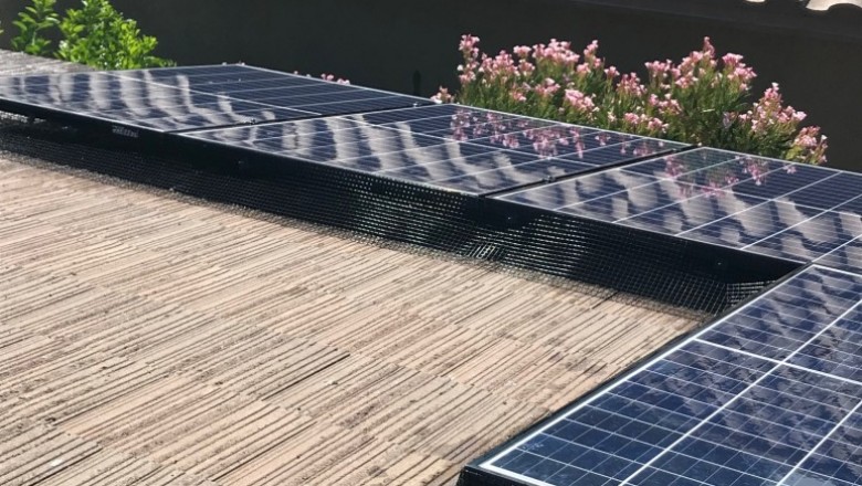 Why Bird Proofing Your Solar Panels Matters