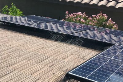 Why Bird Proofing Your Solar Panels Matters